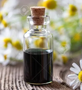 Chamomile Blue Oil