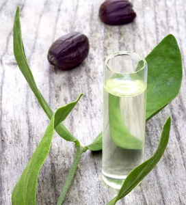 Jojoba Oil Clear