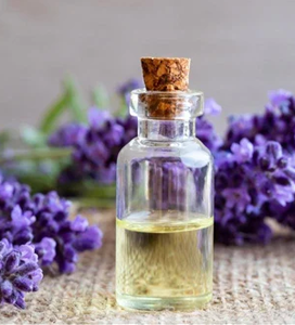 Lavender Oil